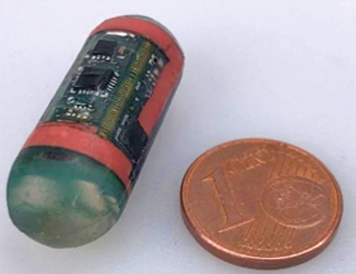 „nuEndo“-Kapsel geschlossen im Größenvergleich mit einer 1-Cent-Münze | © Fraunhofer IZM